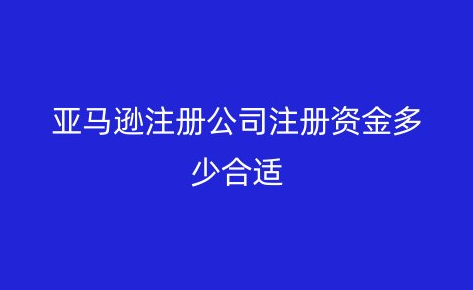 亚马逊注册公司注册资金多少合适