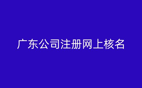 广东公司注册网上核名